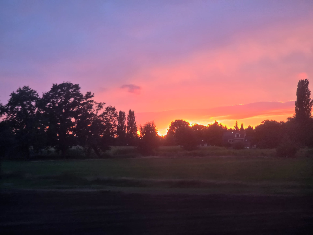 Image of a setting sun, taken from the train.